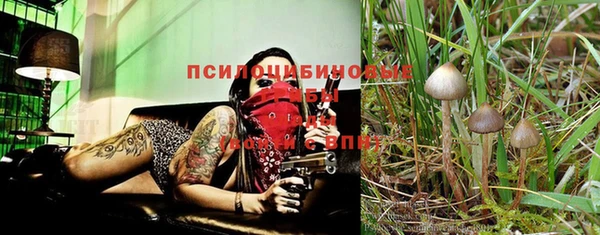 ALPHA-PVP Алексин