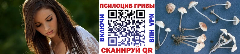 магазин продажи наркотиков  Бикин  Псилоцибиновые грибы Psilocybe 